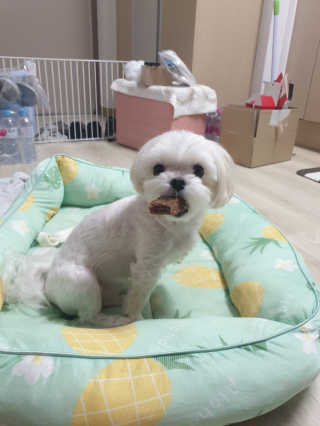 꼬물이님이 올린 리뷰 사진 1