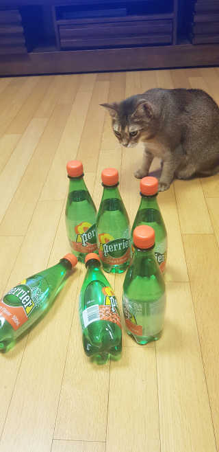 페리에 피치 500ml PET — 5점을 준 리뷰어가 2019년 11월 올린 사용 사진