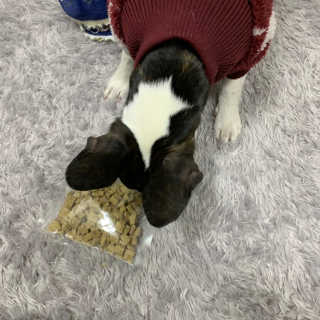 하림님이 올린 리뷰 사진 3