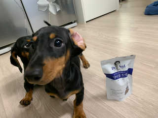 asdfzxcvcoco님이 올린 리뷰 사진 1