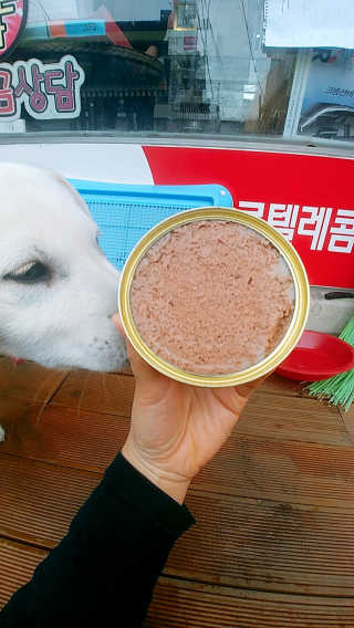 [펫토리아] BEST 한캔뚝딱 강아지 캔간식 — 4.5점을 준 리뷰어가 2019년 3월 올린 사용 사진