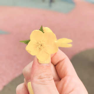 행복한슈블리맘님이 올린 리뷰 사진 1