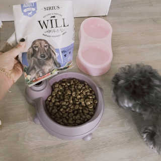 이소윤님이 올린 리뷰 사진 1