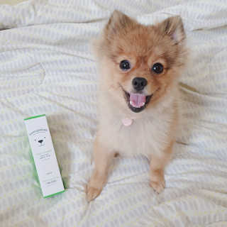 은선이짱님이 올린 리뷰 사진 2