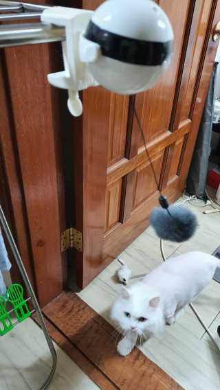 Woo7C님이 올린 리뷰 사진 3