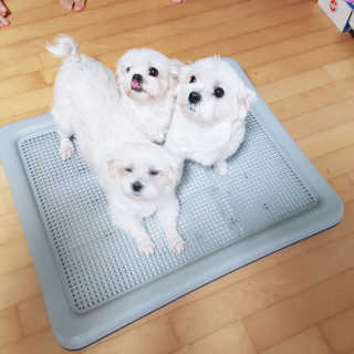 배융빵님이 올린 리뷰 사진 2