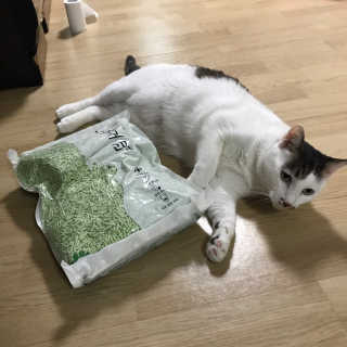 나니나니님이 올린 리뷰 사진 3
