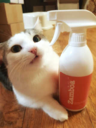 피카츄님이 올린 리뷰 사진 1