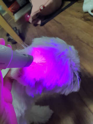 뽀오오옹님이 올린 리뷰 사진 2