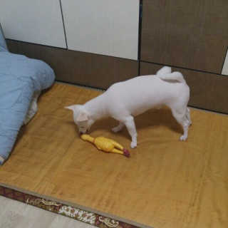 hye님이 올린 리뷰 사진 2