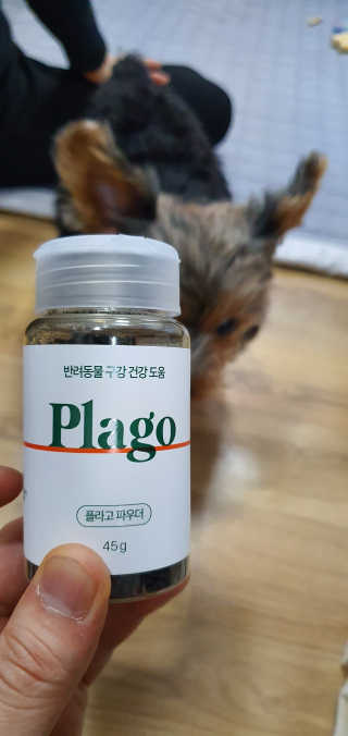 뎅님이 올린 리뷰 사진 2