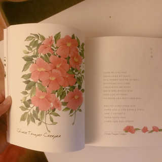 루시루시루시님이 올린 리뷰 사진 2