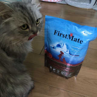 [펫토리아] 퍼스트메이트 고양이 사료 — 5점을 준 리뷰어가 2019년 5월 올린 사용 사진