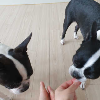 KimMinbi님이 올린 리뷰 사진 1