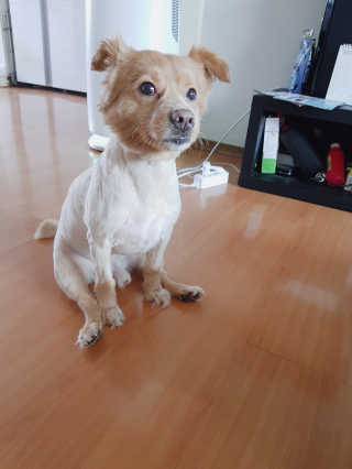 용2님이 올린 리뷰 사진 4