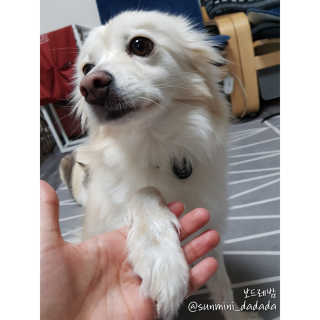 코코민네님이 올린 리뷰 사진 2