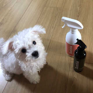 겨울용점퍼님이 올린 리뷰 사진 2