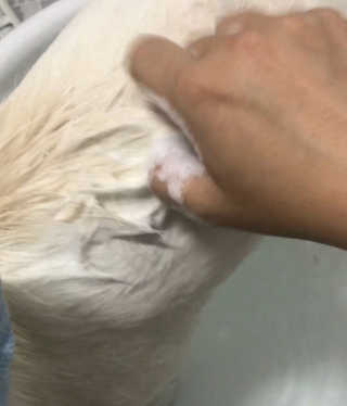 fively님이 올린 리뷰 사진 4