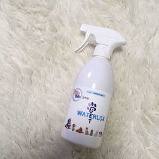 신롱이님이 올린 리뷰 사진 1