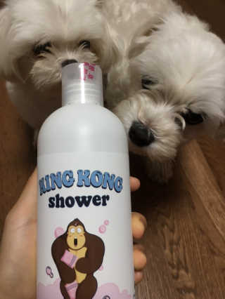 문뭉님이 올린 리뷰 사진 1