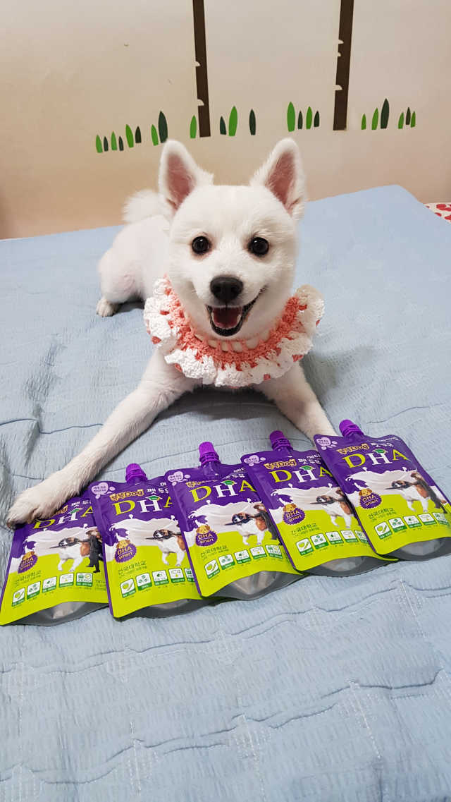 메디밀 DHA 리뷰 사진