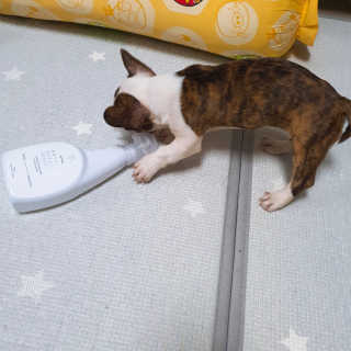 지이나아님이 올린 리뷰 사진 4