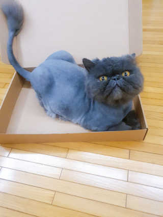 가원님이 올린 리뷰 사진 3