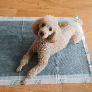 포포님이 올린 리뷰 사진 2