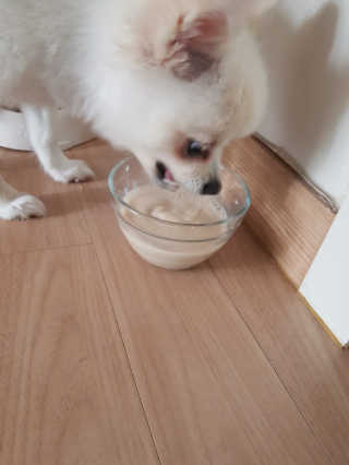 현연설이맘님이 올린 리뷰 사진 2