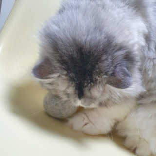 슬뷰님이 올린 리뷰 사진 3