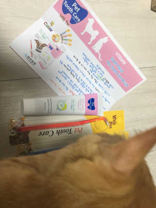 라멜님이 올린 리뷰 사진 2