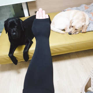 Lilly❤️님이 올린 리뷰 사진 1