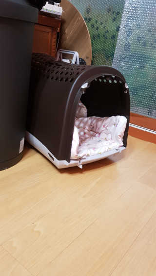 이영실님이 올린 리뷰 사진 2