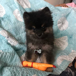 송정아님이 올린 리뷰 사진 2