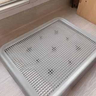 챔미님이 올린 리뷰 사진 1