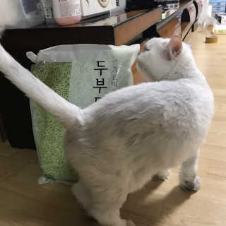 나니나니님이 올린 리뷰 사진 2