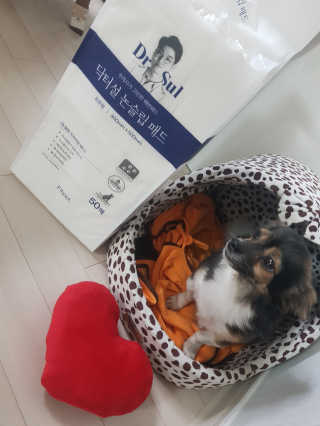 꽃수니어니님이 올린 리뷰 사진 1