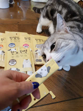 [펫토리아]짜먹는 한입뚝딱 강아지.고양이 마약간식 — 5점을 준 리뷰어가 2019년 8월 올린 사용 사진