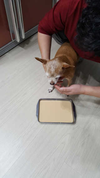 유진오님이 올린 리뷰 사진 3