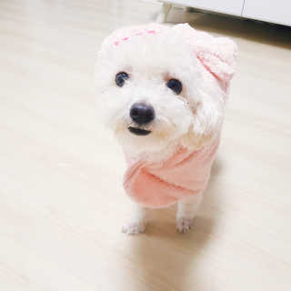 주여니이님이 올린 리뷰 사진 4