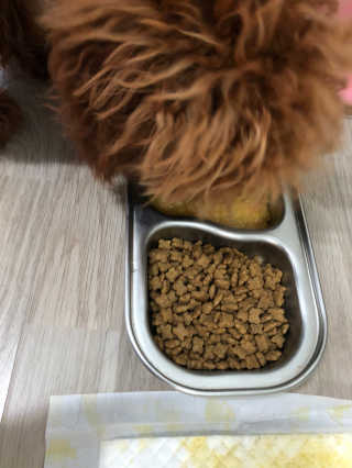 칸쵸님이 올린 리뷰 사진 3