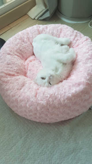 Elin님이 올린 리뷰 사진 2
