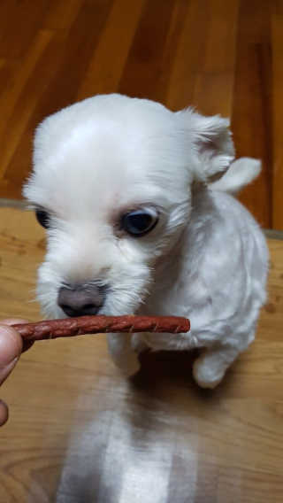 이다경님이 올린 리뷰 사진 2