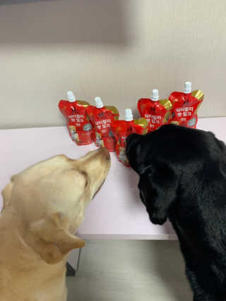 이지닝님이 올린 리뷰 사진 2