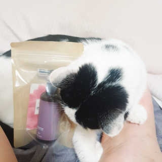 한라봉님이 올린 리뷰 사진 1