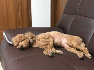 이성민님이 올린 리뷰 사진 2