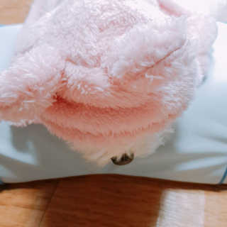 아임슬리핑 프리넥 참편한 메모리폼 경추베개 — 4점을 준 리뷰어가 2020년 2월 올린 사용 사진