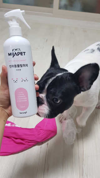 꺄룩꺄룩님이 올린 리뷰 사진 1