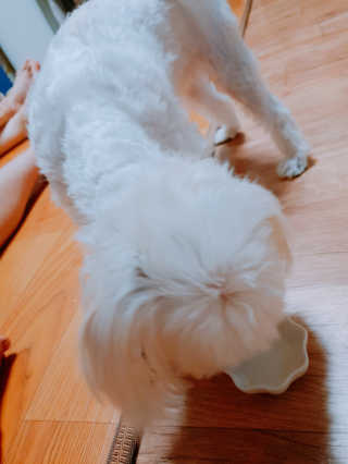 김희수님이 올린 리뷰 사진 3