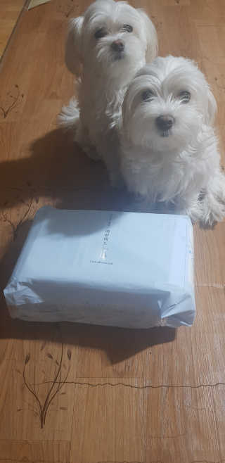 공팔리터님이 올린 리뷰 사진 1